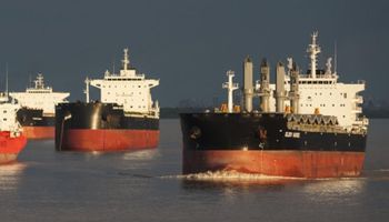 En diez años, el valor de las exportaciones de granos podría crecer en más de US$ 16.000 millones