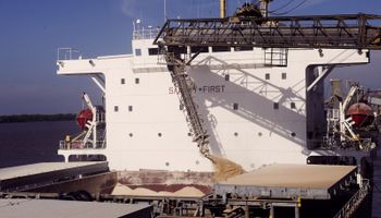 Exportación de granos: el Senasa estableció un nuevo sistema de control de buques