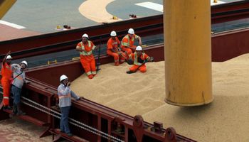 Exportadoras de granos liquidaron US$ 3.225 millones durante junio