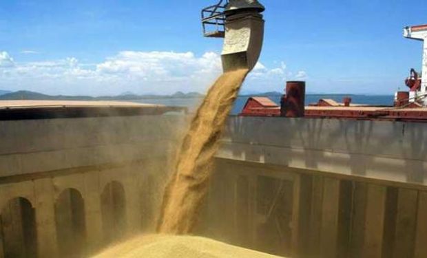 Ucrania exportó 31.393 M de tn de granos