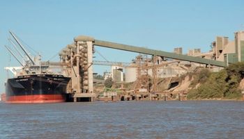 En seis meses, la exportación de granos creció 58%