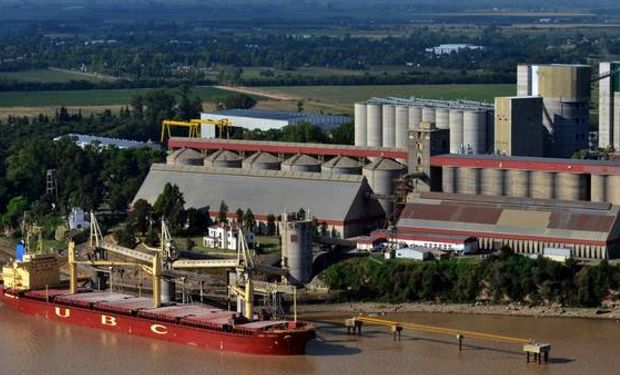 Durante la última semana, las empresas exportaron granos, aceite y harinas por U$S 202 millones.