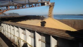Ventas externas de granos y subproductos crecieron un 38%