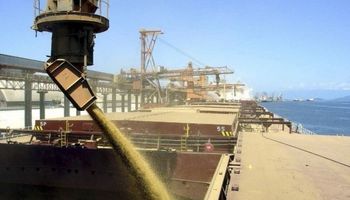 Exportaciones de granos compensaron baja de precios