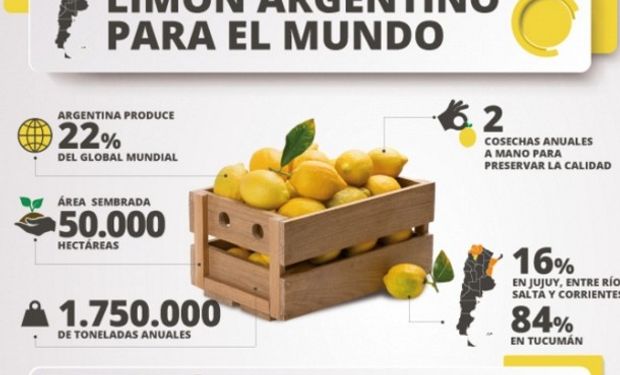 El mercado brasileño estuvo nueve años cerrado.