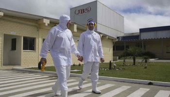 Argentina exporta maíz a Brasil para abastecer la gran demanda de empresas cárnicas