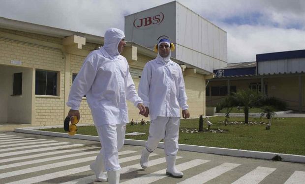 Argentina exporta maíz a Brasil para abastecer la gran demanda de empresas cárnicas