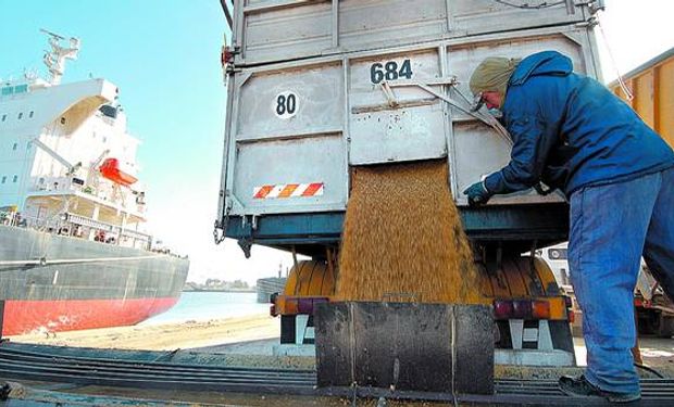 Los agricultores son muy críticos respecto de las restricciones oficiales para la exportación porque aducen que desinflan la demanda y hacen caer los precios locales del cereal.