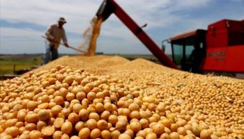 Las exportaciones están bajo el signo de la agrodependencia
