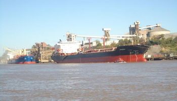 Trigo: tendencia muestra una agresiva iniciativa exportadora