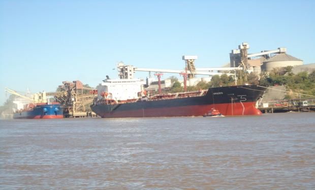 TRIGO. Exportaciones por 5,6 millones de toneladas.