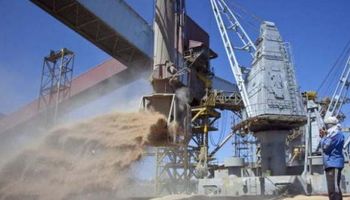 La exportación de trigo va rumbo a alcanzar un nuevo récord