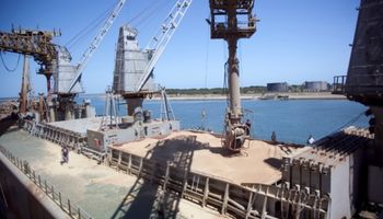 El país crece en el mercado mundial de harina de trigo