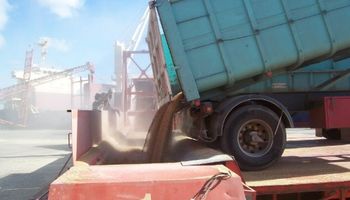 Exportación de trigo, camino a ser la mejor desde 2007
