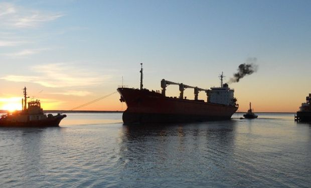 Trigo, óptimo desempeño exportador.