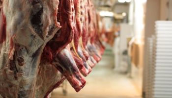 Ampliaron los reintegros a las exportaciones de carne