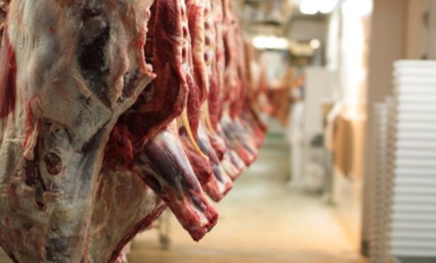En números. Actualmente poco más del 90% de la producción argentina de carne vacuna se destina al mercado interno y el resto se exporta.