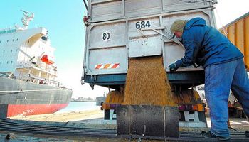 Se exportarán granos por u$s 2300 millones menos que en 2014
