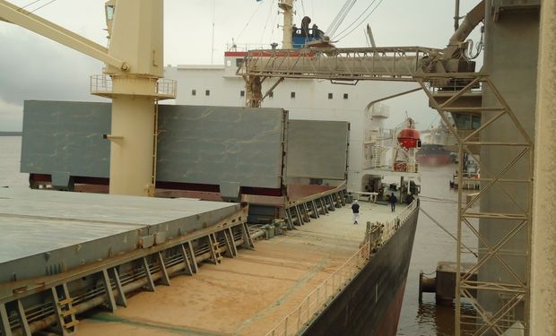 El Gobierno liberó exportaciones adicionales de harina de trigo