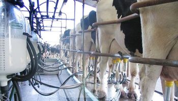 El año cierra con caída del 20% en las exportaciones lácteas