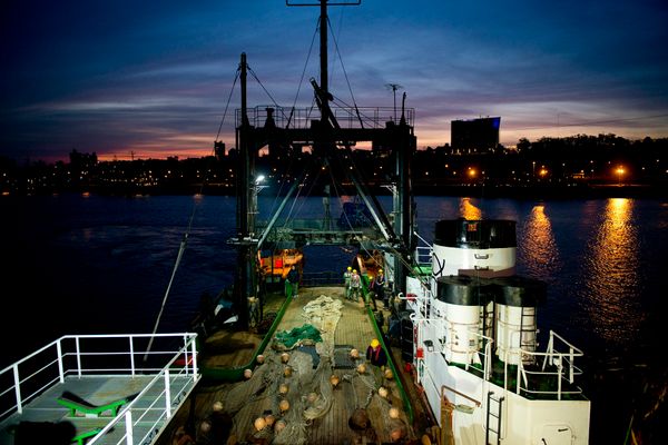 exportación pesca argentina