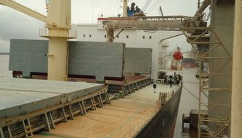 Argentina exportó este año más de 3 millones de toneladas de trigo a Brasil