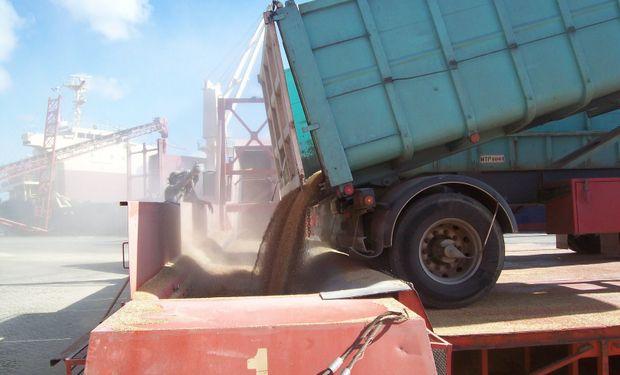 Se anotaron exportaciones por u$s 170 millones.