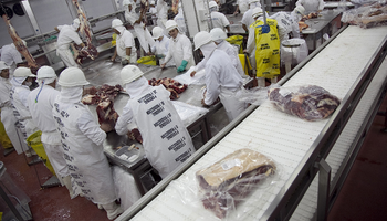 Argentina incrementó un 10% sus exportaciones de carne vacuna 