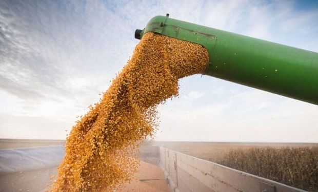 El agro ingresó más de US$ 21.000 millones en lo que va del año, un 32% más que el año pasado