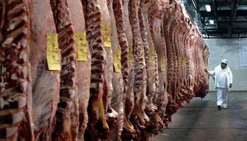 Retenciones a los cueros y modificación de la Ley de IVA, entre los reclamos de los frigoríficos