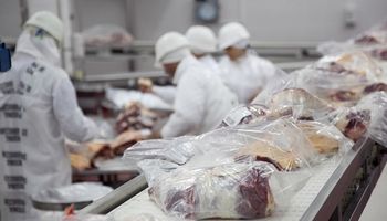 En busca de dólares: permitirán exportar 4500 toneladas más de carne a los frigoríficos