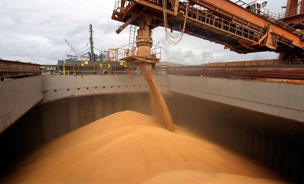 Las exportaciones de harina de soja se recuperaron un 41 %