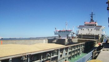 Trigo: la participación de Argentina en las importaciones de Brasil disminuiría de 87% a 75%
