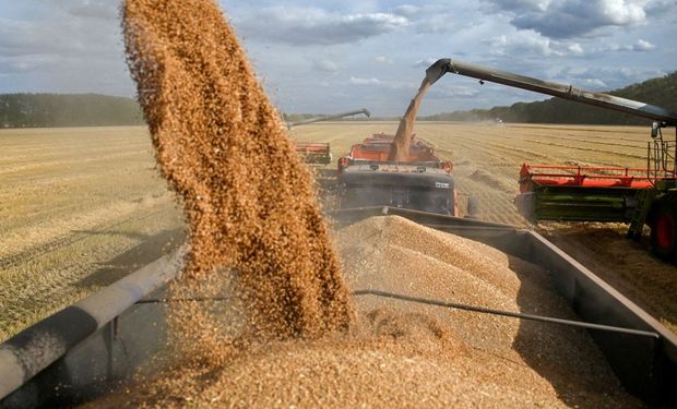 El optimismo por el corredor seguro de granos presionó a la baja al precio del trigo