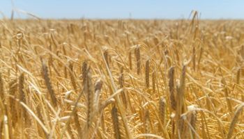 El Gobierno festeja el mes con las mejores exportaciones agroindustriales en 10 años