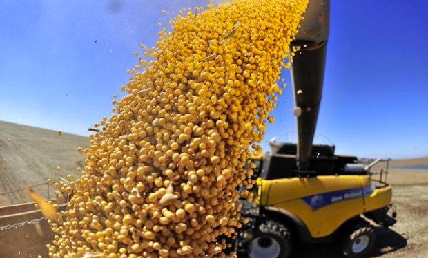 La cadena agroindustrial aportó U$S 12.074 millones durante el primer trimestre