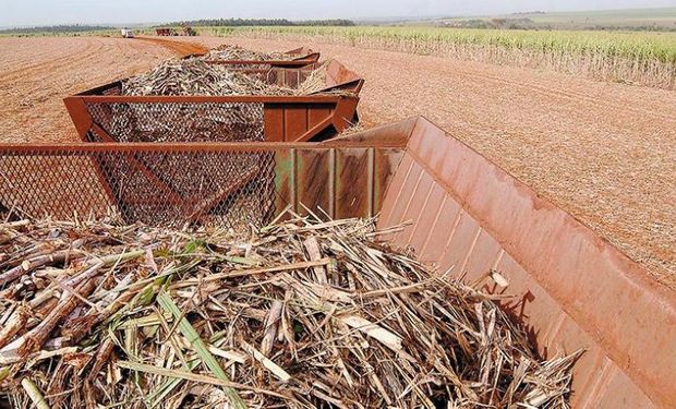 Azúcar, arroz, cerezas y limón son las que más crecieron.