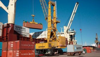 Exportaciones cayeron fuerte en febrero: el 25%