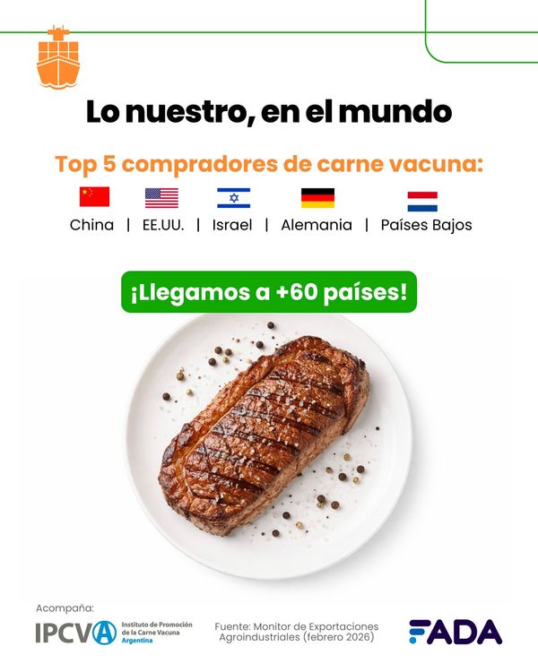 Exportacion argentina