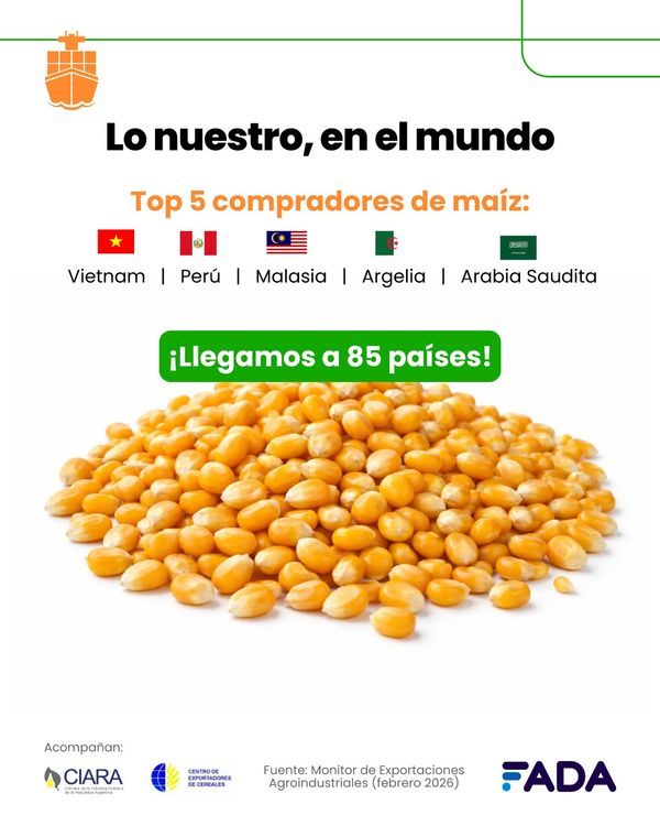 Exportacion argentina