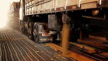 Granos: exportaciones brasileñas equivalen a nuestra cosecha