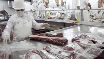 Basterra habló de Estados Unidos y aseguró que se debe potenciar la exportación de carne