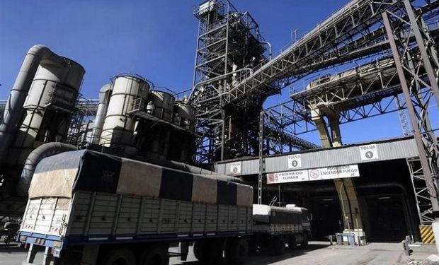 SOJA. El volumen exportado será el mayor de la historia.