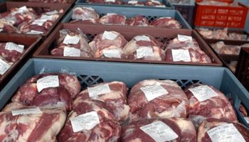 Las exportaciones de carne vacuna crecieron el 20%