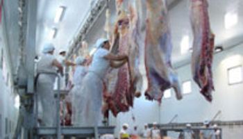 Exportación de carne: 2014 no logró despegar del piso