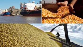 Mercado global de commodities: ¿qué lugar ocupa Argentina?