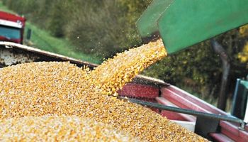 Proyectan un nuevo récord de exportaciones de maíz para el ciclo 2017/18