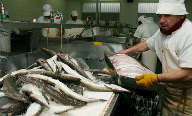Con más de US$ 2.000 millones y 549.416 toneladas, la pesca argentina tuvo el segundo mejor registro histórico de exportaciones: el detalle de los productos y los destinos