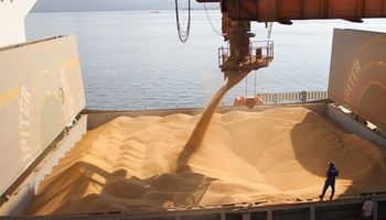 Durante 2016 se duplicaron las exportaciones de trigo