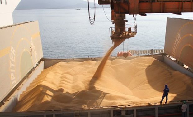 Exportaciones argentinas de trigo crecieron un 133%.